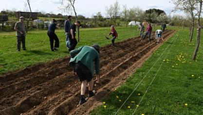 Les bénévoles de La Petite Foire et le Groupe Meneurs ont unis leurs efforts pour réaliser une plantation de patates sur le site agroécologique de Roiveau.