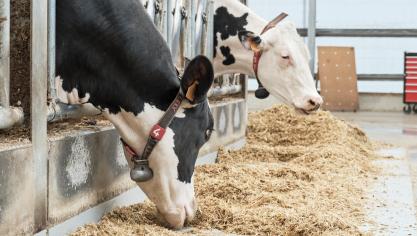 En matière d’alimentation, l’innovation existe, mais elle ne circule pas toujours là où elle serait la plus utile.