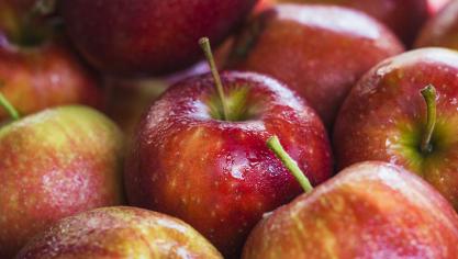 La signature de l’accord marque l’aboutissement de négociations engagées dès 2019 à la demande du secteur fruitier belge.
