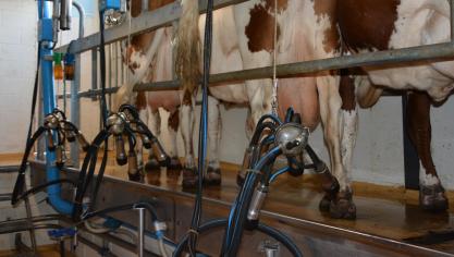 A 571.493 l, la production moyenne  par exploitation ne cesse de croître, année après année.