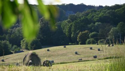 Lorsqu’une parcelle est ajoutée à une exploitation déjà louée, la détermination de sa date de prise de cours peut avoir des conséquences importantes sur les renouvellements et les congés du bail à ferme.