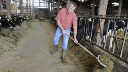 Les États membres entendent conserver une large latitude dans  la définition de l’agriculteur actif et dans le ciblage des aides.