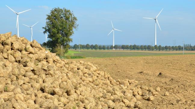 Selon l’Association, ce projet constitue une réelle opportunité pour l’agriculture et l’économie belges. En effet, la Belgique dispose d’une localisation idéale pour la culture de la betterave.