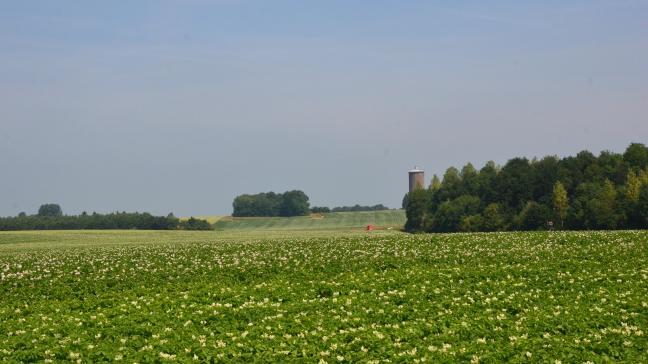 La Fiwap recommande de surveiller de près les parcelles.