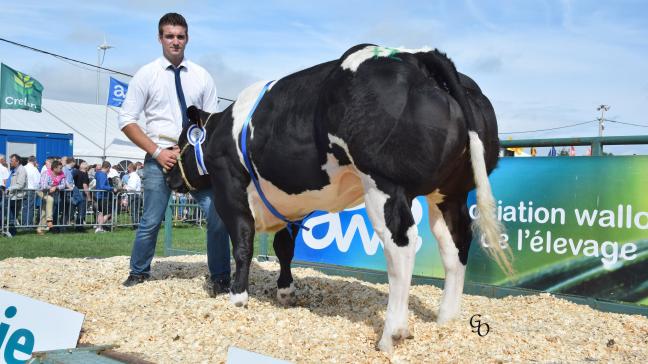 Ganache du Fond de Bois (Grommit X Occupant), 1
er
prix des génisses, à Jean-Pierre Monfort, Les Avins.