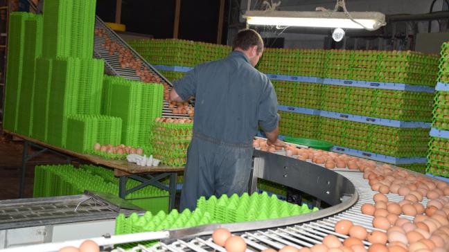 Malgré le blocage, le travail continue: « Les poules sont nourries et nettoyées, les oeufs sont récoltés...  sans savoir si l’issue sera positive», dit Stieve Charon.