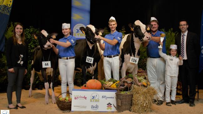 Le trio de tête au championnat des génisses. De droite à Gauche: Majuscule de l’Herbagère et Manchette de l’Herbagère, à l’Herbagère-Moureaux et 9005 de Haumont-Hill, à J-L Neuville, respectivement championne, réserve et mention.