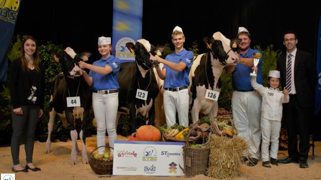 Le trio de tête au championnat des génisses. De droite à Gauche: Majuscule de l’Herbagère et Manchette de l’Herbagère, à l’Herbagère-Moureaux et 9005 de Haumont-Hill, à J-L Neuville, respectivement championne,  réserve et mention.