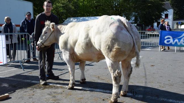 Jadore du Champs de la Baleine (Tilouis X Graphite), 1
er
prix des primipares de 32 à 44 mois, à Eugène Baudoin, Bouriers.