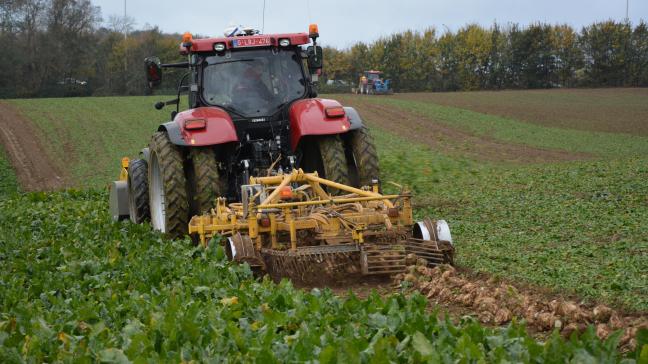 Evaluée à 130 millions de tonnes, la production européenne 2017/2018 de betteraves  enregistre une hausse de 3 % par rapport à la dernière campagne.