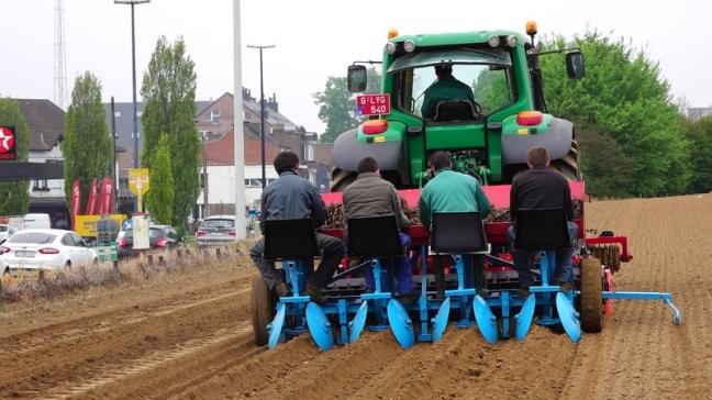 Plantation de miscanthus par le Centre indépendant de promotion fourragère à Gembloux.