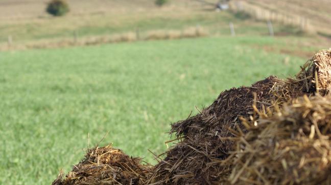 Le stockage des engrais de ferme est autorisé au champ moyennant le respect d’une série de prescriptons prévues dans le Programme  de gestion durable de l’azote.