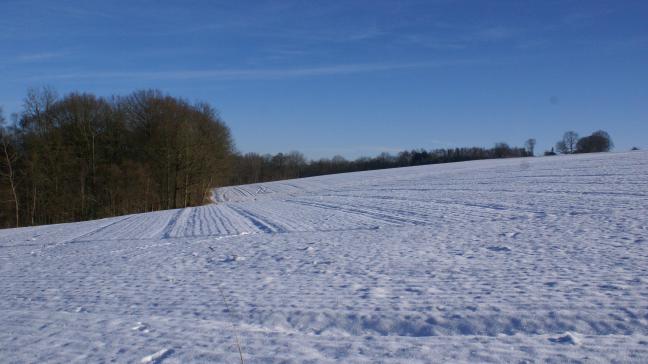 Il interdit d’épandre des engrais de ferme sur les parcelles (ou parties de parcelles) enneigées.