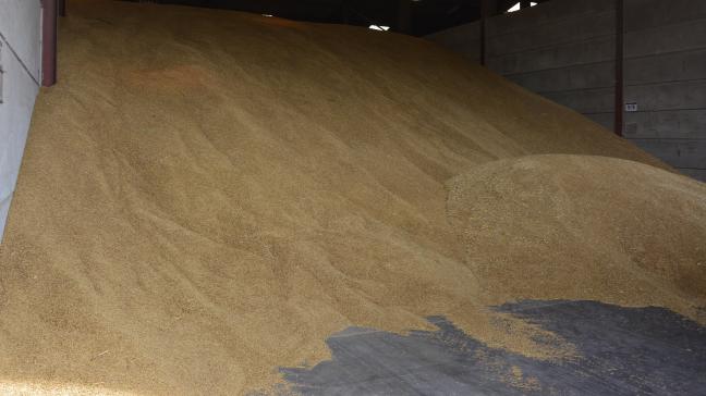 En octobre dernier, les exportations européennes de blé ont chuté de 75
millions d’euros.