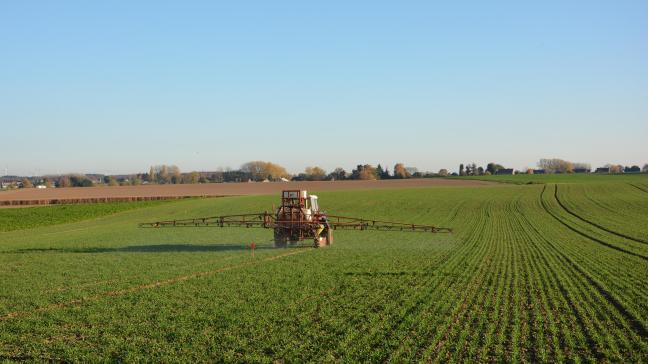 Avant d’envisager les traitements printaniers, on attendra le retour d’une météo propice. Et on veillera à raisonner les interventions en considérant la situation propre à chacune des parcelles concernées.