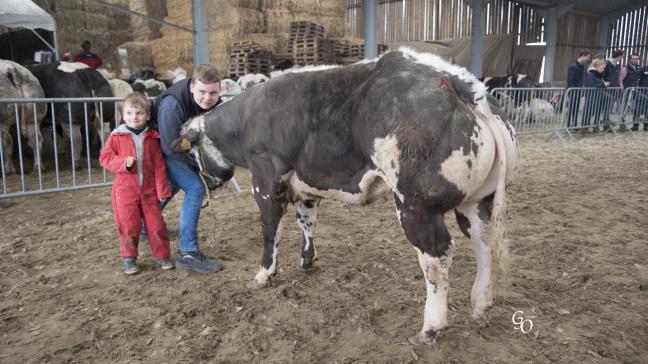 Jalousie du Blanc Dos (Opaque X Artaban, 1 er prix des génisses de 20 à 32 mois, à Laurent Decock, Quartes.