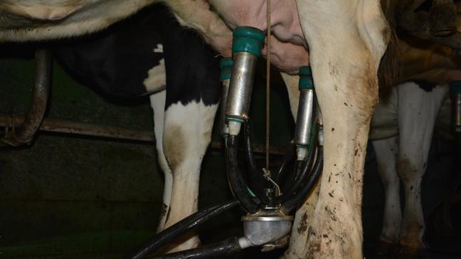 Face au risque de surproduction laitière, le Commissaire européen à l’Agriculture invite les éleveurs à prendre leurs responsabilités.