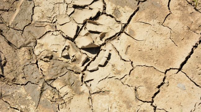 Le caractère exceptionnel de la sécheresse a été reconnu
pour l’ensemble des 262
communes wallonnes.