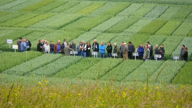 Les visites des champs d’essais, l’occasion de faire le point sur la saison en cours... et de réfléchir à l’avenir.