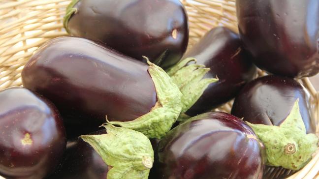 eggplant-237448_1920
