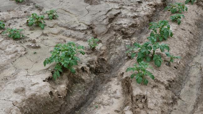 Les orages ont localement fait de gros dégâts. Il convient de bien identifier les plages endommagées.