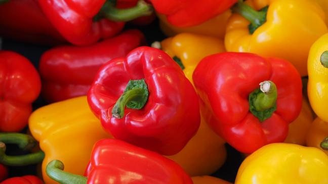 sweet-peppers-499068_1920