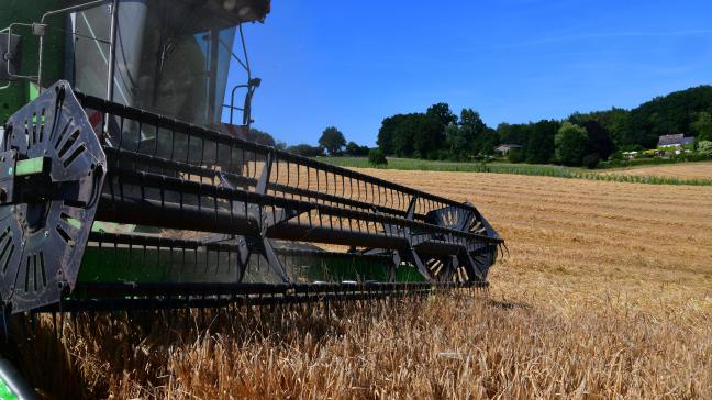 La moisson des escourgeons a commencé très tôt, cette année, avec des rendements moyens en retrait par rapport à l’an dernier.