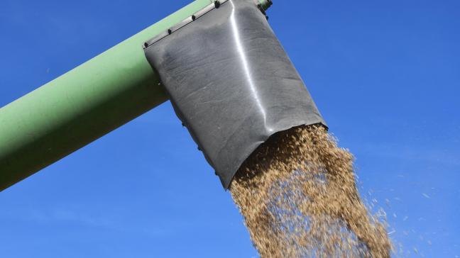 Au cours du mois d’août dernier, les exportations européennes de blé ont reculé de 47 millions d’euros.