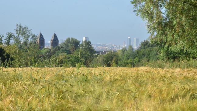 Bois, cultures (ici, extérieures à la ferme), Promenade Verte...La Ferme Nos Pilifs se situe dans un écrin de verdure, non loin du centre de Bruxelles.