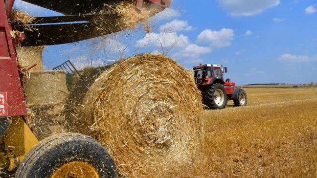 Le recul de la production affectée par la sécheresse apporte une fameuse bouffée d’oxygène aux cours du blé sur Euronext.