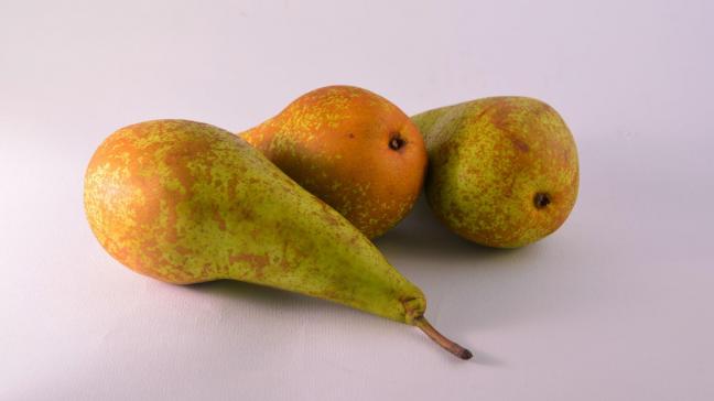 pears-1748175_1920