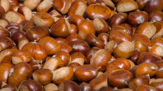 chestnuts-3727959_1920
