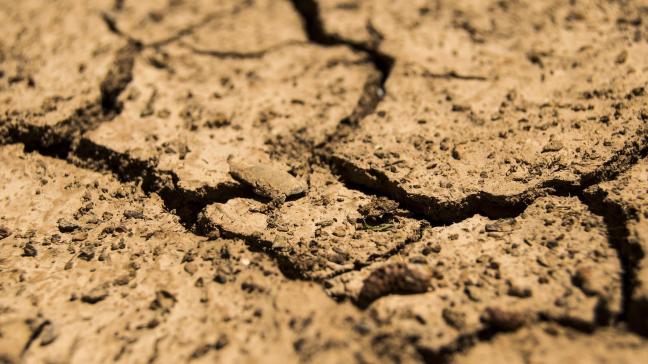 drought-780088_1920