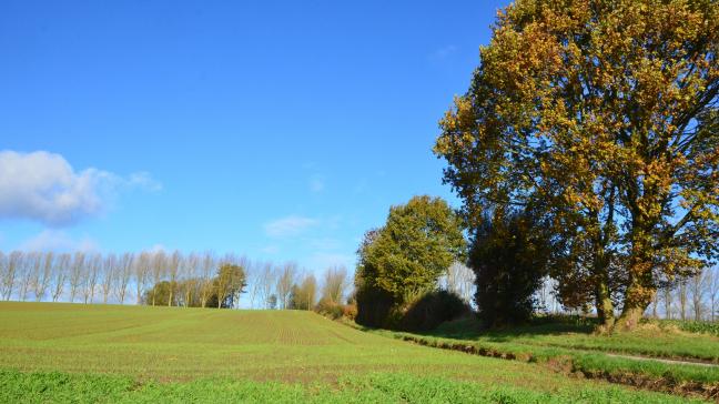 En ce début novembre – avec 18°C, le mardi 6 novembre, un record! –, le Cadco estime que le moment n’est pas encore venu du remisage des pulvérisateurs.