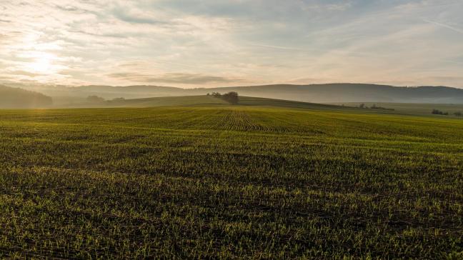 landscape-2211587_1920