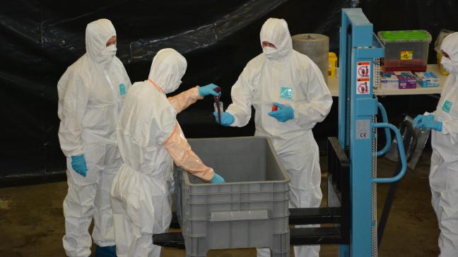 345 cas ont été identifiés suite aux prélèvements d’échantillons réalisés dans le centre de collecte des carcasses installé à Virton.