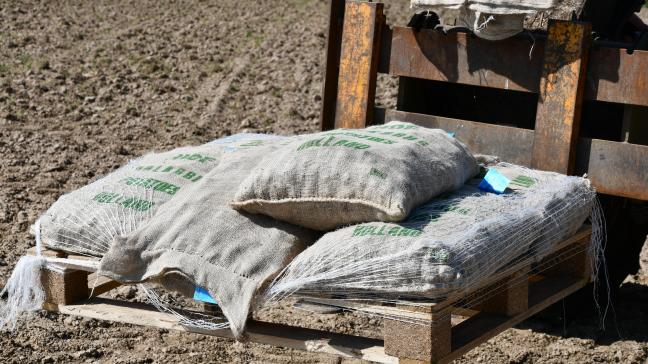Du côté des plants, aux problèmes de disponibilités s’ajoute une solide hausse des prix!
