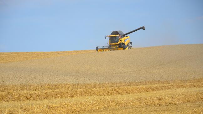 Le Conseil international des céréales a livré le 24 janvier ses premières estimations  concernant la prochaine récolte.