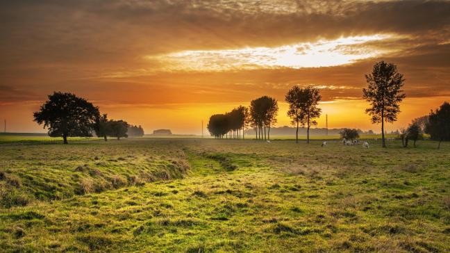 countryside-336686_1920