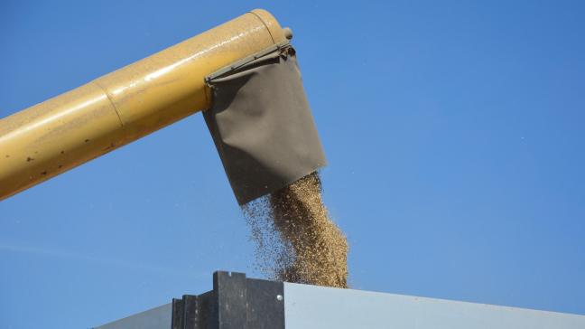 La production mondiale de grains est estimée à 2.175 millions de tonnes  pour 2019-20.