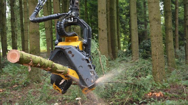 Vingt ha du site accueillant Demo Forest sont consacrés à des chantiers d’abattage, débusquage, débardage, sciage, déchiquetage. L’occasion de découvrir en dynamique des équipements impressionnants.