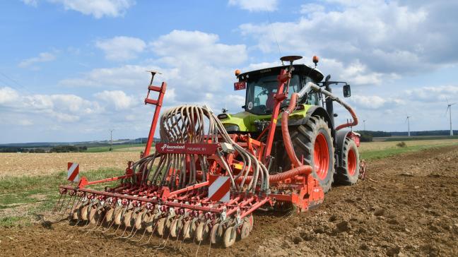 La période idéale pour les semis s’étend du 20 août au 5-10 septembre.