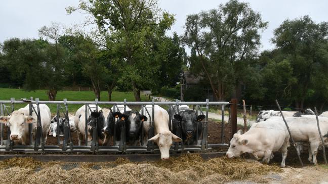 De nombreux députés restent inquiets quant aux effets potentiellement négatifs de l’accord sur certains secteurs de l’UE, tels que la viande bovine, le sucre, les volailles, les fruits et légumes.