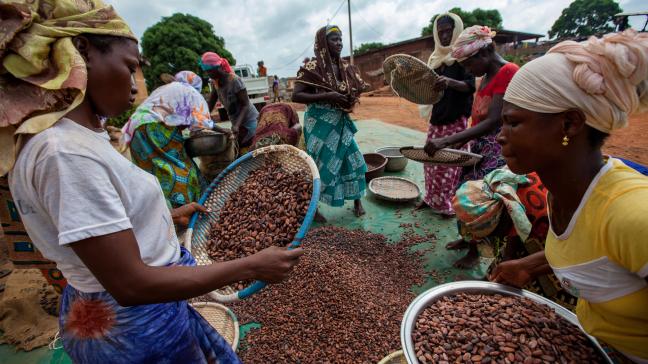 L’association entre Fairebel et Fairtrade permettra notamment de soutenir  des femmes productrices de cacao en Côte d’Ivoire.