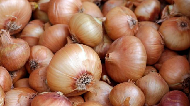 onions-1397037_1920