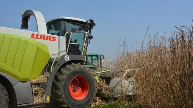 Les engins de récolte sont généralement équipés de moteurs initialement développés pour les poids lourds, donc souvent peu adaptés à une utilisation agricole.