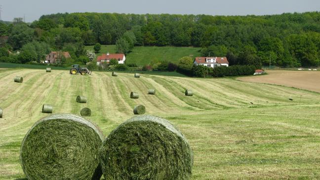 Le secteur agricole sera principalement concerné par la stratégie de la «
fourche à la fourchette
» attendue au printemps prochain.