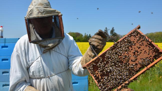 Le plan d’action devra garantir en priorité la conformité de tous les miels importés de pays tiers avec la définition du miel dans l’UE