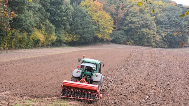 Les pluies abondantes, l’automne dernier, ont fortement pesé sur les semis dans plusieurs pays européens.