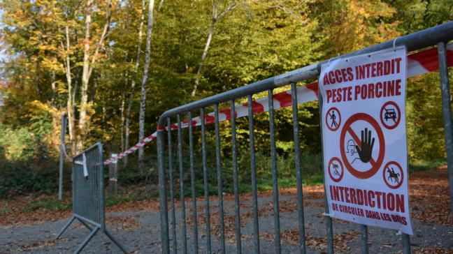 La fermeture des forêts est indispensable pour venir à bout de la PPA et éviter 
tout risque de propagation du virus, notamment via les sangliers séropositifs.